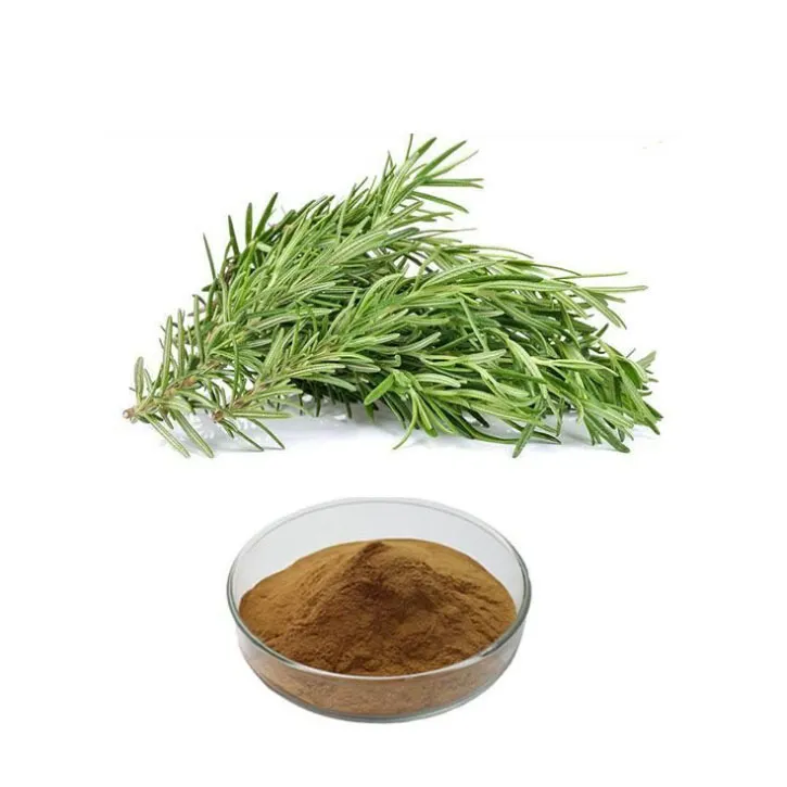 Grau cosmètic àcid carnosic en pols 3650-09-7