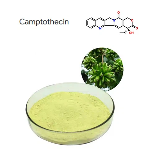 Alta puresa 98% CAMPTOTECIN PLANTA Extracte de pols CAS 7689-03-4