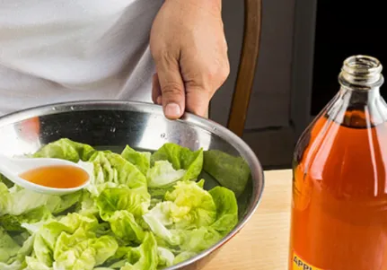 acetic acid for food acetic acid for food