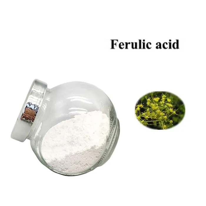 Àcid ferulic pur en pols de pols 1135-24-6